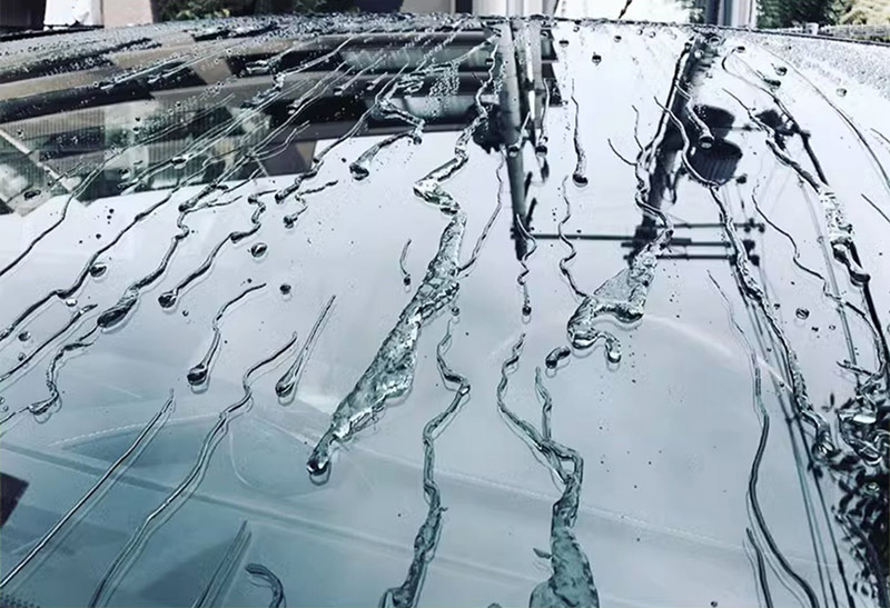 Auto-Glas Hydrophobe Nano-Besc – Nano Liquid Coating Bewertung und Preis